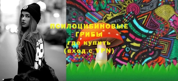 прущие грибы Балахна