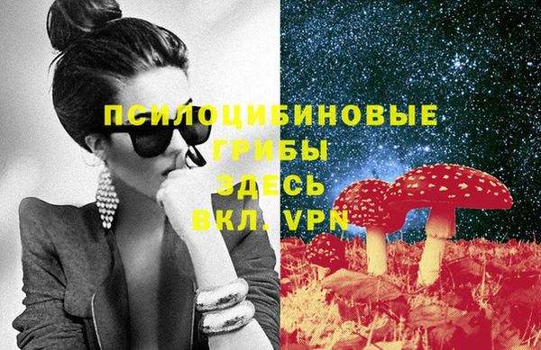 прущие грибы Балахна