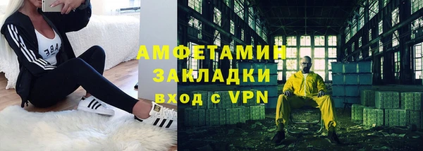 прущие грибы Балахна