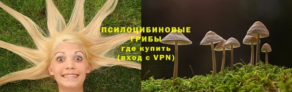 прущие грибы Балахна