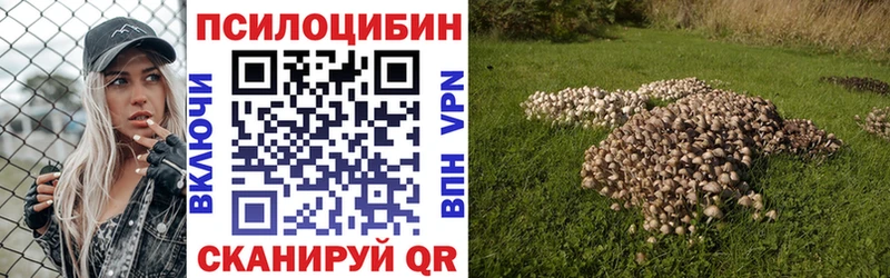 Галлюциногенные грибы Psilocybe купить закладку Козьмодемьянск